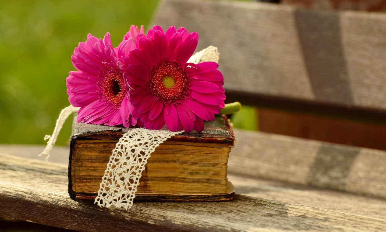 congerdesign-gerbera-1250287_1920